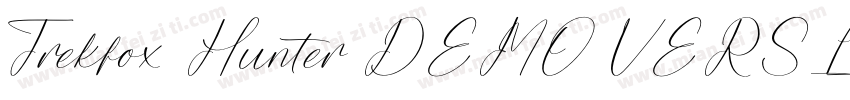 Trekfox Hunter DEMO VERSION Italic字体转换
